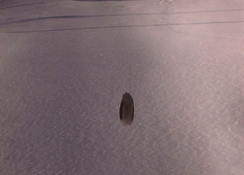 Awaiting Your Arrival - Snow #2